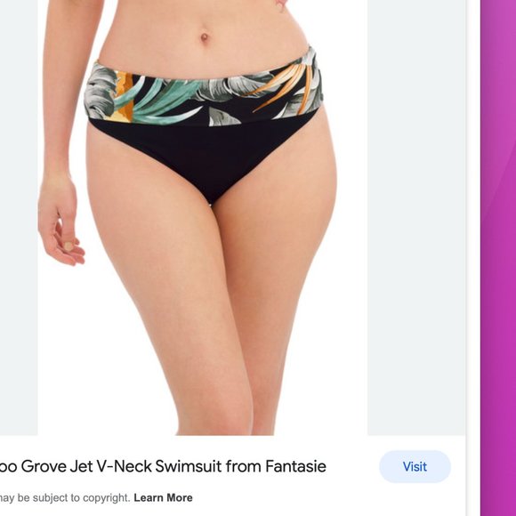 Fantasie Kabini Oasis Bamboo Grove bikini set! NWT - Picture 6 of 8